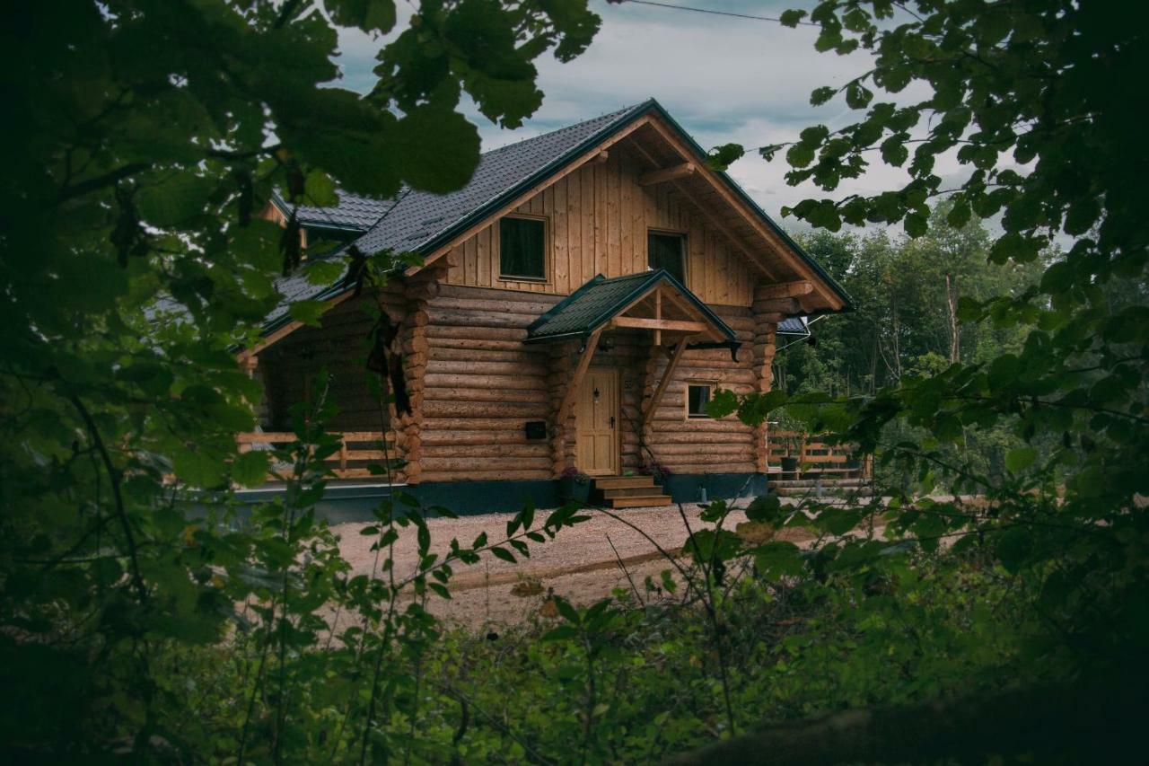Woods Lodge Plitvice Lakes Drežnik Grad Εξωτερικό φωτογραφία